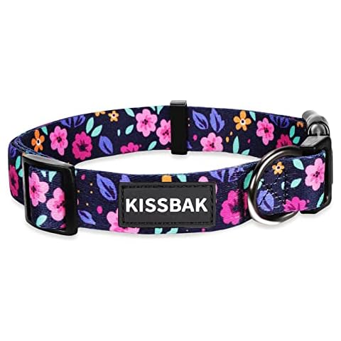 KISSBAK thumbnail