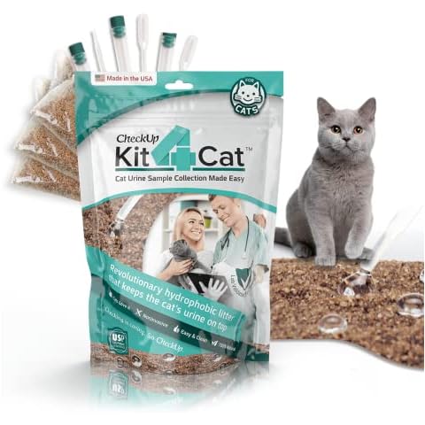 KIT4CAT thumbnail