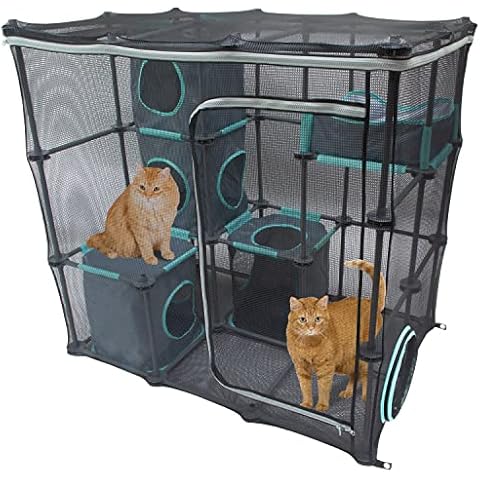 Kitty City thumbnail
