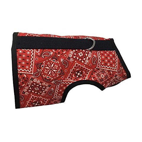 Kitty Holster thumbnail