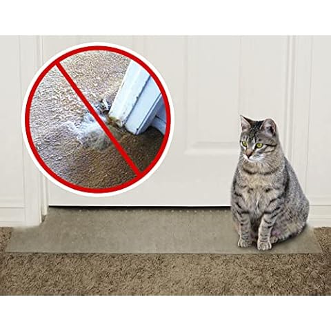 KittySmart thumbnail
