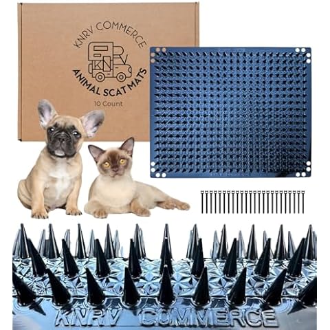 KNRV Commerce thumbnail