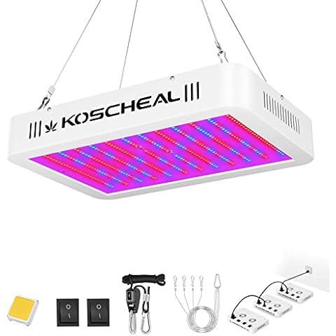KOSCHEAL thumbnail