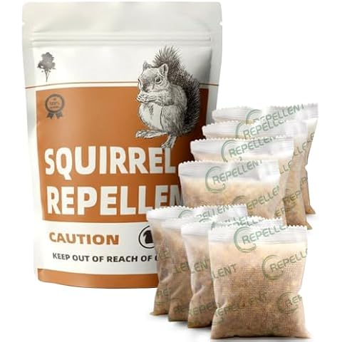 KQCWKH feature image