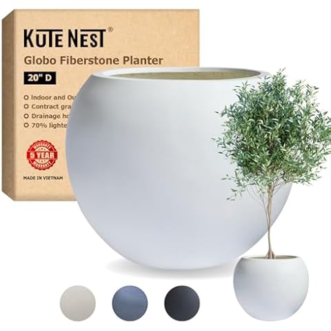 KUTE NEST thumbnail