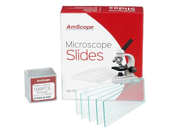 Lab Microscope Slides Thumbnail