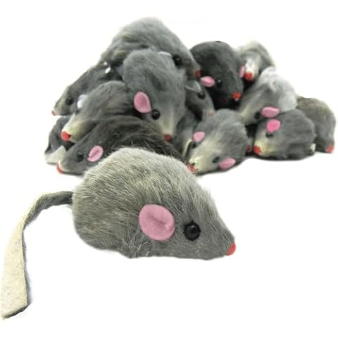 Labriciyon thumbnail