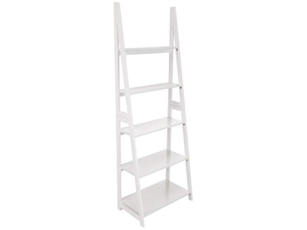 Ladder Shelves Thumbnail