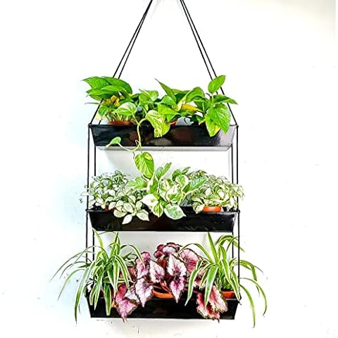 https://us.ftbpic.com/product-amz/lalagreen-wall-hanging-planter-16-inch-wall-planters-for-indoor/51pD3cL5IKL._AC_SR480,480_.jpg