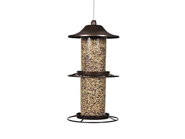Image showcasing The 10 Best Large Bird Feeders of 2025 (Reviews) - FindThisBest