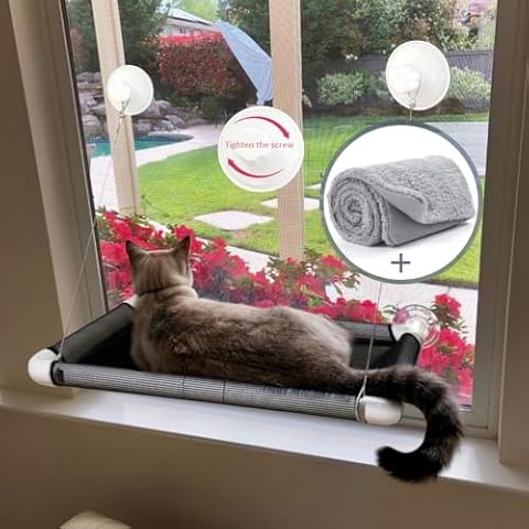 Lcybem feature image