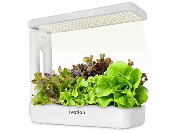 LED Indoor Planters thumbnail