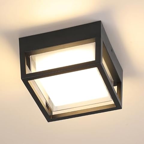 LED Patio Celling Light Fixture