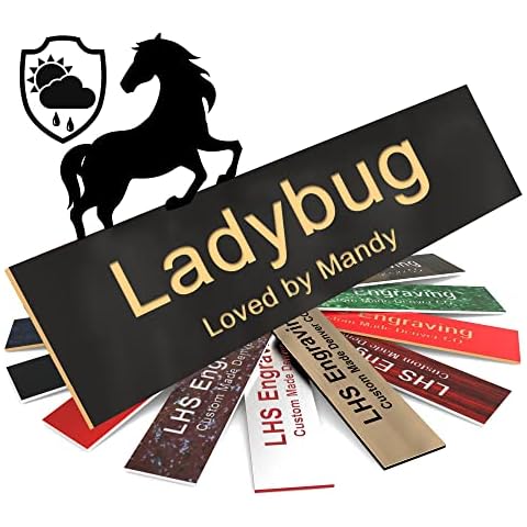 LHS Engraving thumbnail