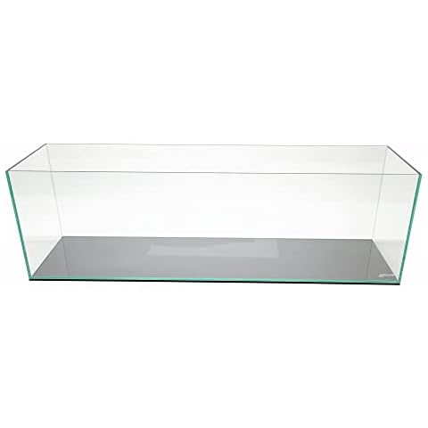Lifegard Aquatics thumbnail