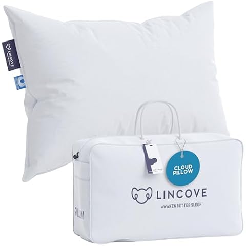 Lincove feature image