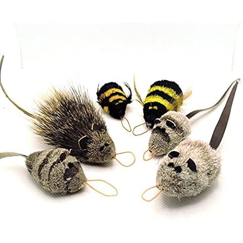 Litterboy Pets thumbnail