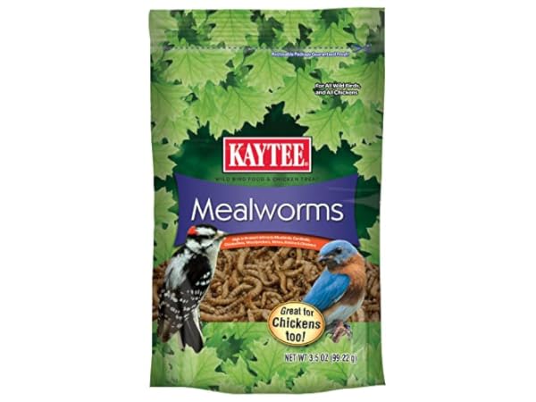 Live Meal Worms Bird Food Thumbnail