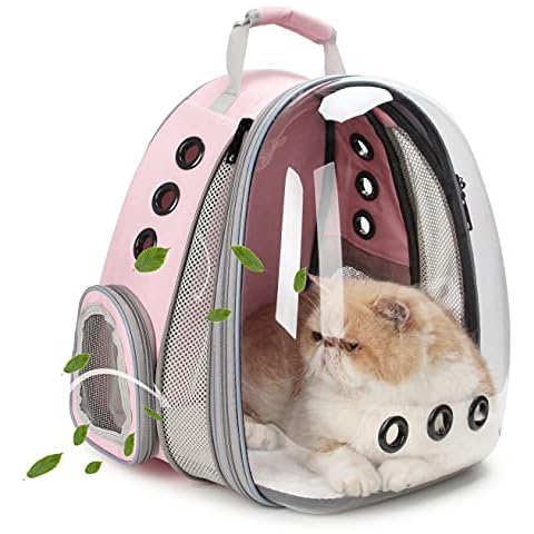 Lollimeow thumbnail