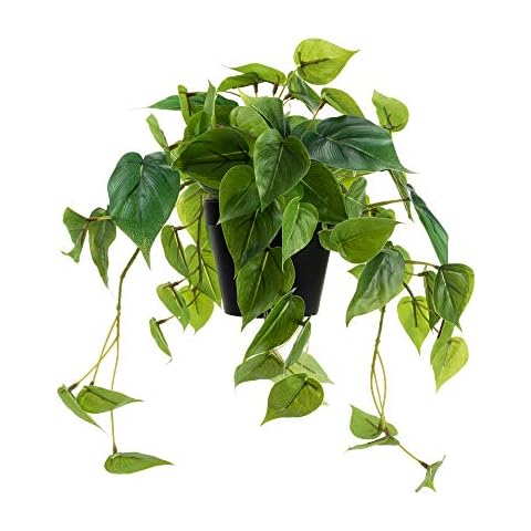LuckyGreenery thumbnail