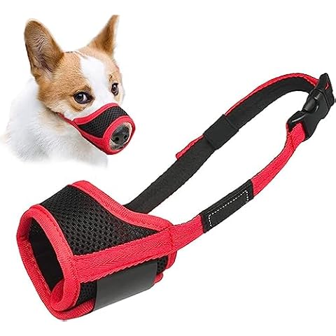 LUCKYPAW thumbnail