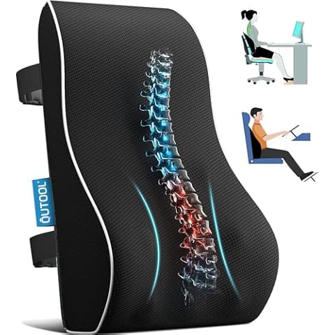 Lumbar Pillows for Chair