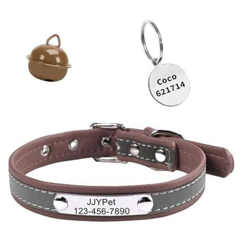 M JJYPET thumbnail