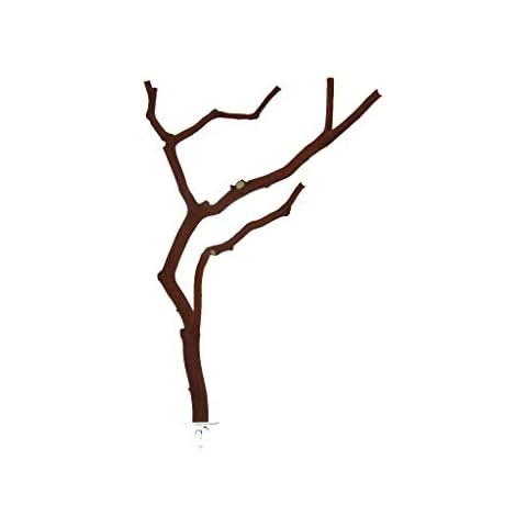 Manzanitashop thumbnail