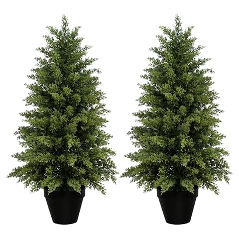 Mavis's Diary thumbnail