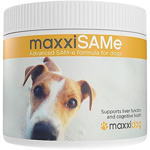 Maxxipaws thumbnail