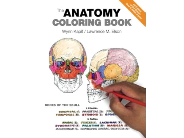 Medical Anatomy Books Thumbnail