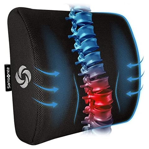 Memory Foam Lumbar Pillows
