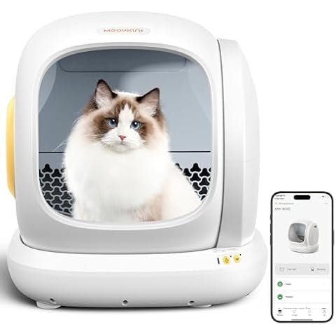 Meowant thumbnail