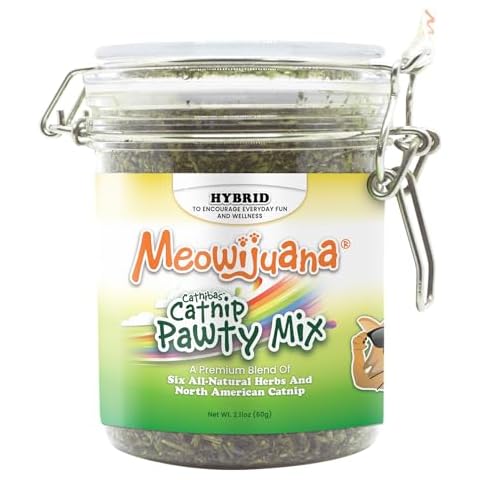 Meowijuana feature image