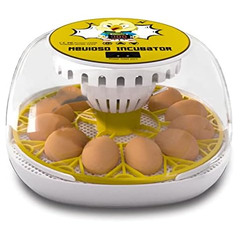 Maxi incubator large egg quadrants for 12 large eggs