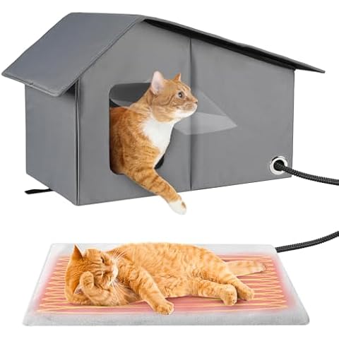MEWTOGO thumbnail