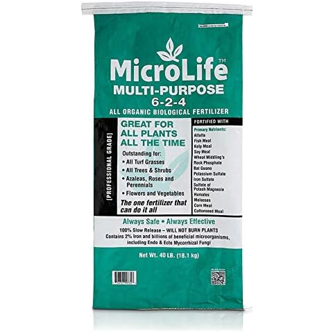 Microlife thumbnail