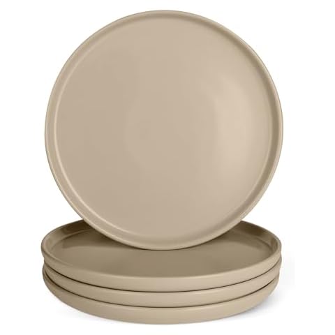 Microwave Safe Dinner Plates