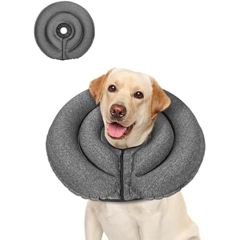 MIDOG thumbnail