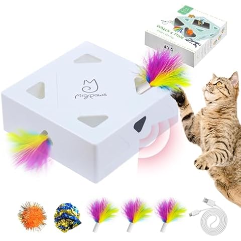 Migipaws thumbnail