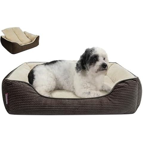 Miguel feature image