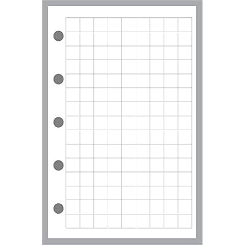 B6 Size Blank Sheets, Sized and Punched for 6-Ring B6 Notebooks by Filofax  and Others. Sheet Size 4.9 x 6.9 (125mm x 176mm)