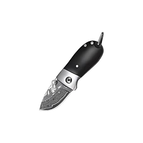 https://us.ftbpic.com/product-amz/mitsumoto-sakari-2-inch-japanese-pocket-knife-professional-hand-forged/310N+OvqM2L._AC_SR480,480_.jpg