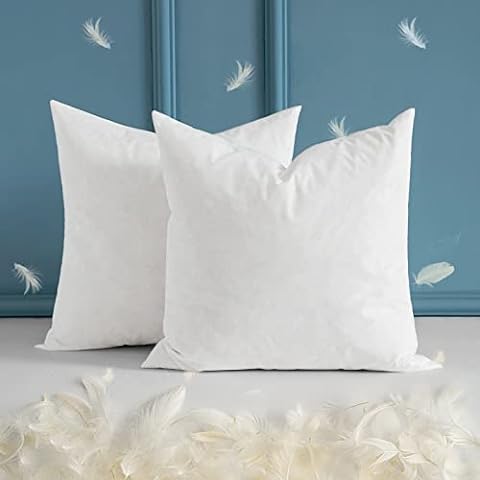  Dorrin Nessin 16x16 Feather Throw Pillows Insert (Pack of 2,  White), Bed and Couch Decorative Stuffer Pillows - Indoor Decorative  Pillows with 100% Feather-Proof Cotton Cover : Home & Kitchen