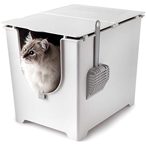 Modkat thumbnail