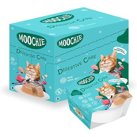 MOOCHIE thumbnail