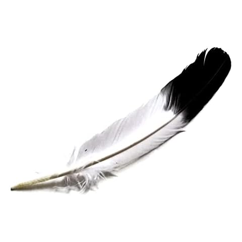 Moonlight Feather thumbnail