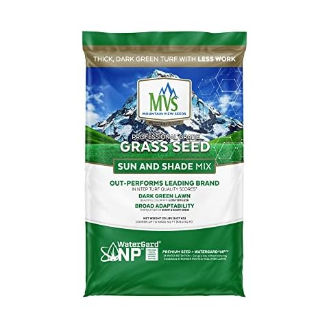 Mountain View Seed thumbnail