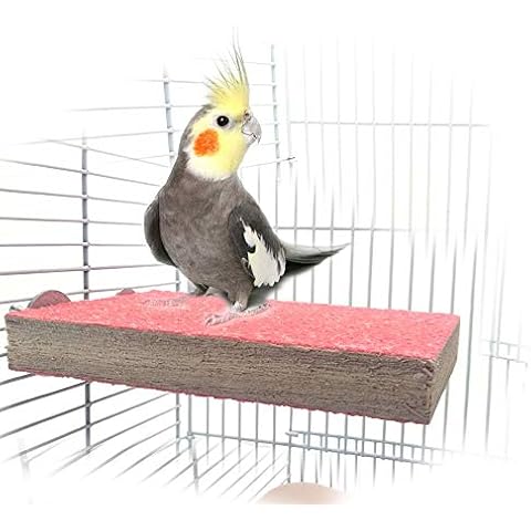 Mrli Pet thumbnail
