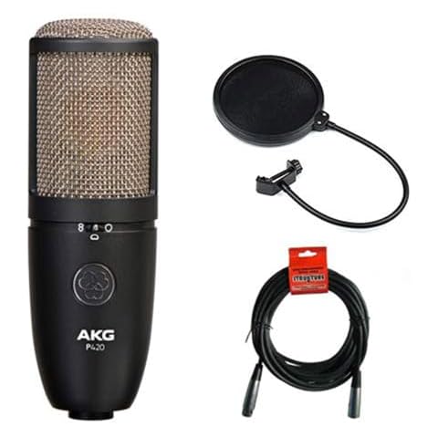 Multi-Pattern Condenser Microphones